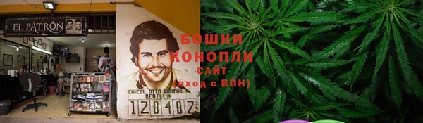 PSILOCYBIN Алзамай
