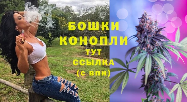 шишки Алексеевка